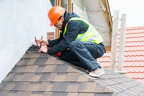 Roof Gutter Cleaning in Homestead Valley, CA